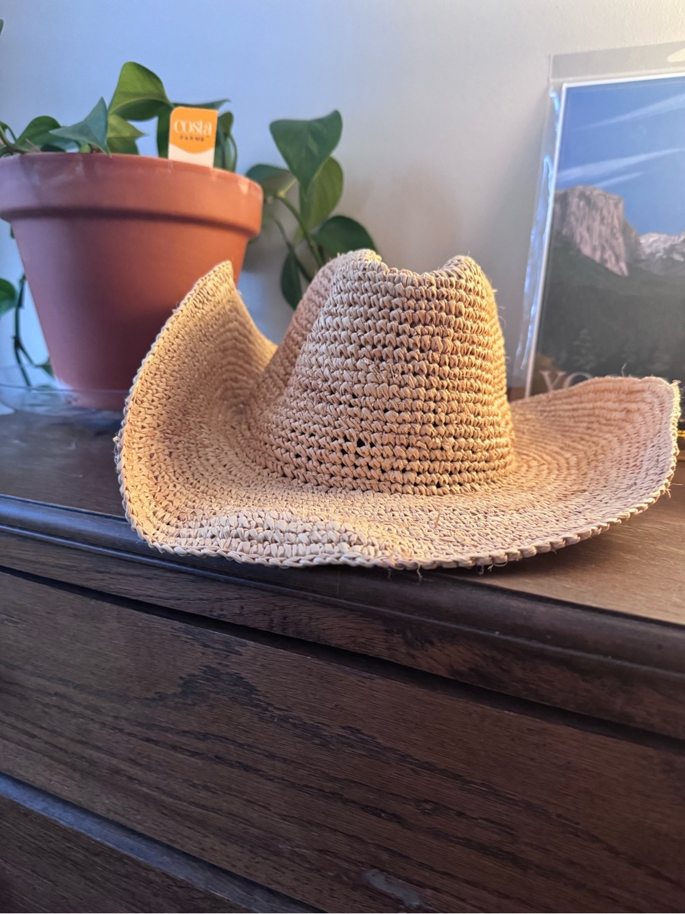 Monday Swimwear Exuma Hat - Straw Crochet Cowboy Hat